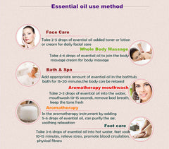 Skin Care Plant Essential Oil