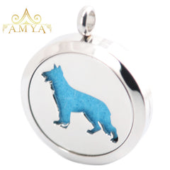 Perfume Diffuser Necklace Locket