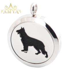 Perfume Diffuser Necklace Locket